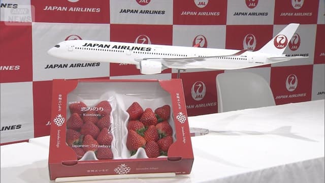 <span class="" word="J">J</span><span class="" word="A">A</span><span class="" word="L">L</span><span class="jlpt-n3" word="グループ">グループ</span><span class="" word="、">、</span><ruby><rb><span class="jlpt-n3" word="日本">日本</span></rb><rt>にほん</rt></ruby><span class="" word="の">の</span><ruby><rb><span class="jlpt-n2" word="農産物">農産物</span></rb><rt>のうさんぶつ</rt></ruby><span class="" word="を">を</span><ruby><rb><span class="jlpt-n4" word="世界">世界</span></rb><rt>せかい</rt></ruby><span class="" word="に">に</span><ruby><rb><span class="" word="広">広</span></rb><rt>ひろ</rt></ruby><span class="" word="げ">げ</span><span class="" word="る">る</span><span class="" word="た">た</span><span class="" word="め">め</span><span class="" word="に">に</span><ruby><rb><span class="jlpt-n3" word="協力">協力</span></rb><rt>きょうりょく</rt></ruby>