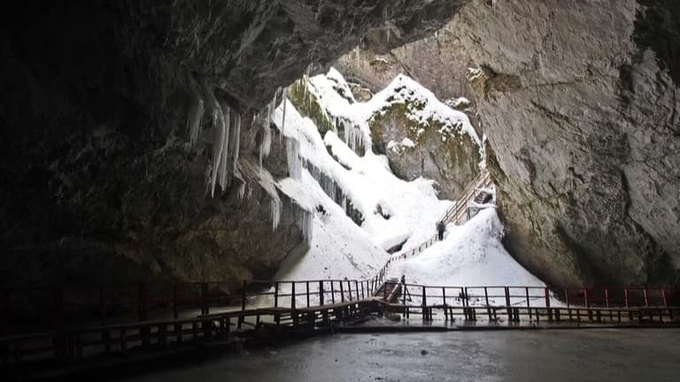氷の洞くつで見つかった古い細菌は薬に強い