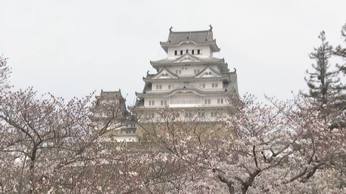 姫路城の入場料が変わりました