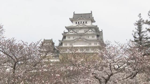 <ruby ><rb><span class="unknown" word="姫路城">姫路城</span></rb><rt>ひめじじょう</rt></ruby><span class="" word="の">の</span><ruby ><rb><span class="jlpt-n3" word="入場">入場</span><span class="jlpt-n1" word="料">料</span></rb><rt>にゅうじょうりょう</rt></ruby><span class="" word="が">が</span><ruby ><rb><span class="" word="変">変</span></rb><rt>か</rt></ruby><span class="" word="わ">わ</span><span class="" word="り">り</span><span class="" word="ま">ま</span><span class="" word="し">し</span><span class="" word="た">た</span>