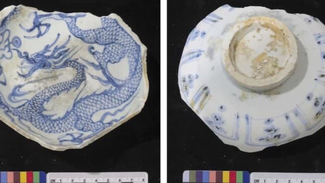 元代磁器の大規模発見