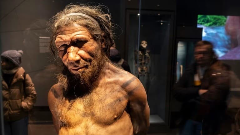 ネアンデルタール人の男性と現生人類の女性との交雑が主流だった理由、最新の研究が示す可能性