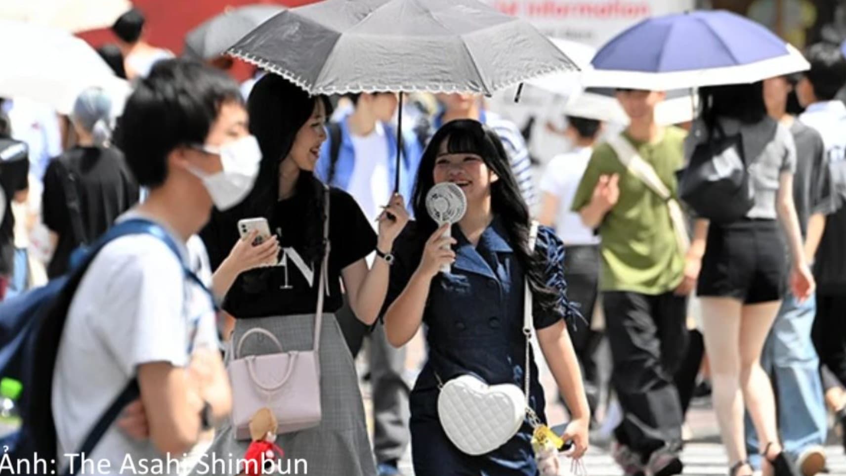 今年の夏、日本はとてもあつくなります