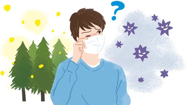 <ruby ><rb><span class="unknown" word="東京">東京</span></rb><rt>とうきょう</rt></ruby><span class="" word="で">で</span><ruby ><rb><span class="jlpt-n1" word="花粉">花粉</span></rb><rt>かふん</rt></ruby><span class="" word="が">が</span><span class="jlpt-n5" word="たくさん">たくさん</span><ruby ><rb><span class="" word="飛">飛</span></rb><rt>と</rt></ruby><span class="" word="ん">ん</span><span class="" word="で">で</span><span class="" word="い">い</span><span class="" word="ま">ま</span><span class="" word="す">す</span>