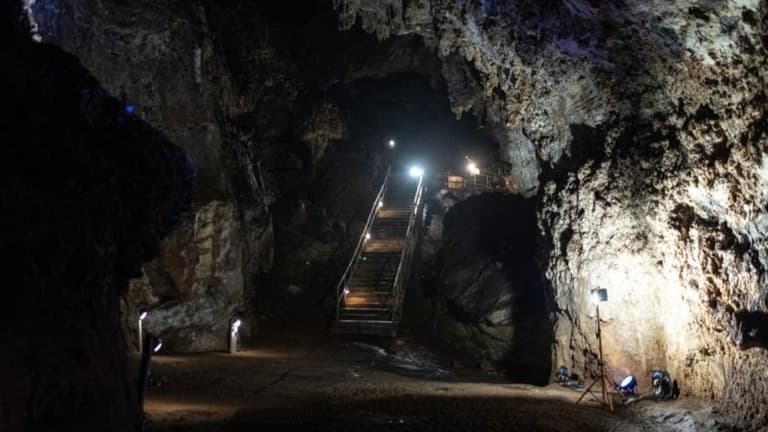 デジタル技術による初期人類「リトルフット」の顔面復元と進化的意義