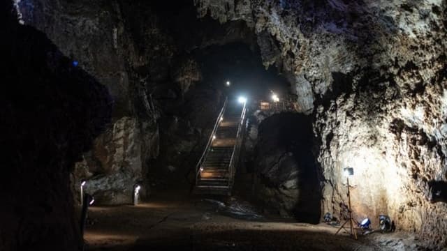 <span class="" word="デ">デ</span><span class="" word="ジ">ジ</span><span class="" word="タ">タ</span><span class="" word="ル">ル</span><ruby ><rb><span class="" word="技">技</span><span class="" word="術">術</span></rb><rt>ぎじゅつ</rt></ruby><span class="" word="に">に</span><span class="" word="よ">よ</span><span class="" word="る">る</span><ruby ><rb><span class="unknown" word="初期">初期</span></rb><rt>しょき</rt></ruby><ruby ><rb><span class="jlpt-n3" word="人類">人類</span></rb><rt>じんるい</rt></ruby><span class="" word="「">「</span><span class="" word="リ">リ</span><span class="" word="ト">ト</span><span class="" word="ル">ル</span><span class="" word="フ">フ</span><span class="" word="ッ">ッ</span><span class="" word="ト">ト</span><span class="" word="」">」</span><span class="" word="の">の</span><ruby ><rb><span class="unknown" word="顔面">顔面</span></rb><rt>がんめん</rt></ruby><ruby ><rb><span class="unknown" word="復元">復元</span></rb><rt>ふくげん</rt></ruby><span class="" word="と">と</span><ruby ><rb><span class="jlpt-n1" word="進化">進化</span><span class="jlpt-n1" word="的">的</span></rb><rt>しんかてき</rt></ruby><ruby ><rb><span class="jlpt-n2" word="意義">意義</span></rb><rt>いぎ</rt></ruby>