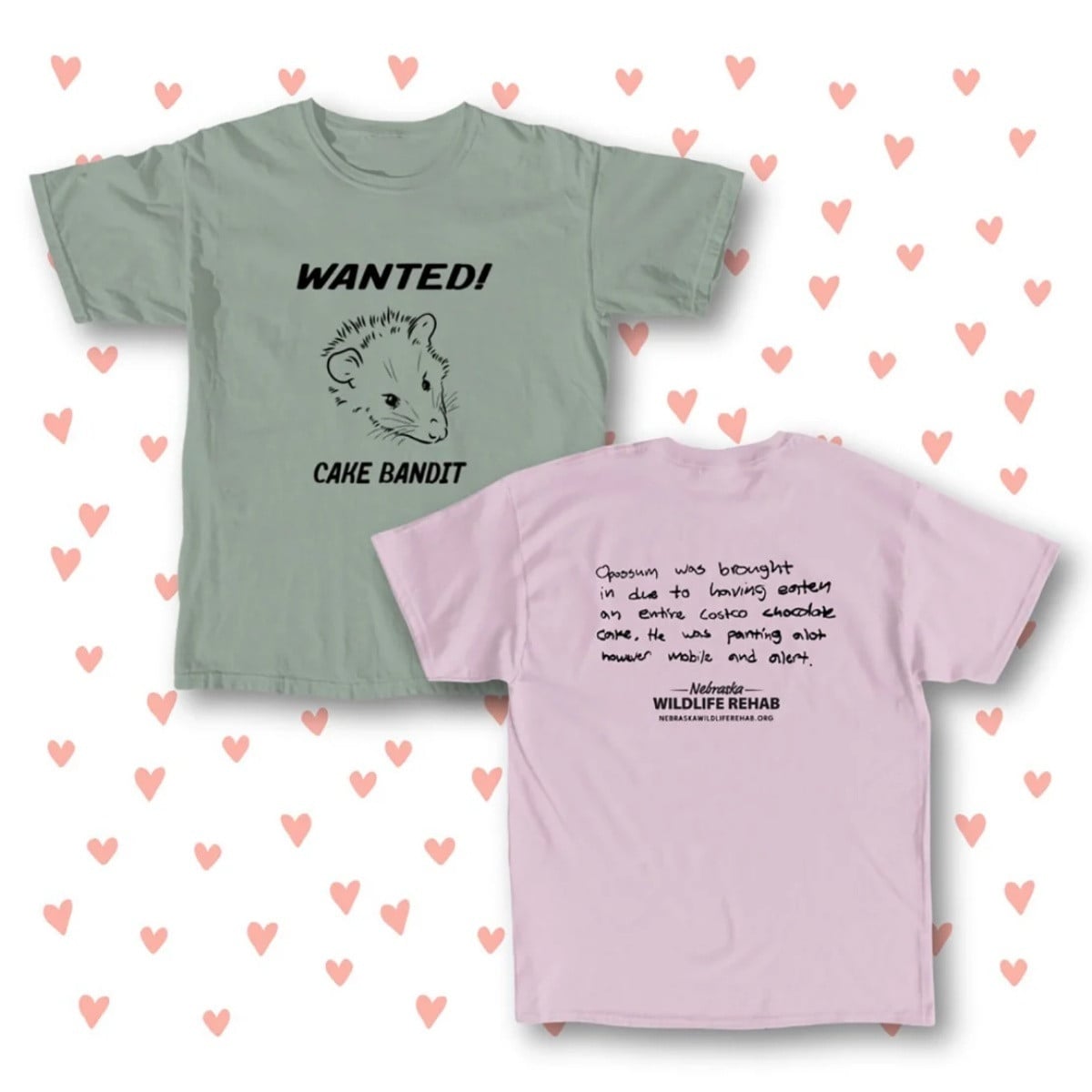 コストコのケーキ丸ごと食べた、野生のオポッサムを「現行犯逮捕」　米ネブラスカ州