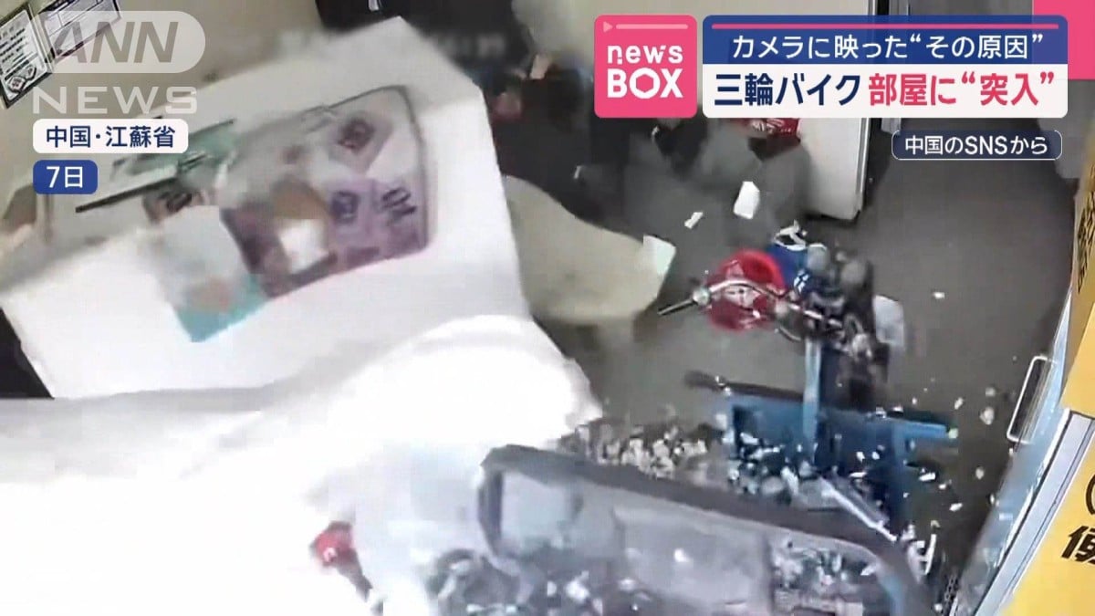 ネコが気づいた直後に…三輪バイク　部屋に“突入”
