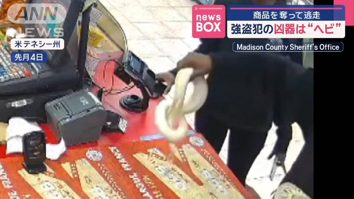 強盗犯の凶器は“ヘビ”　商品を奪って逃走　米・テネシー州