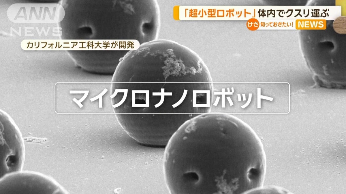 「超小型ロボット」開発　体内で薬を運ぶ