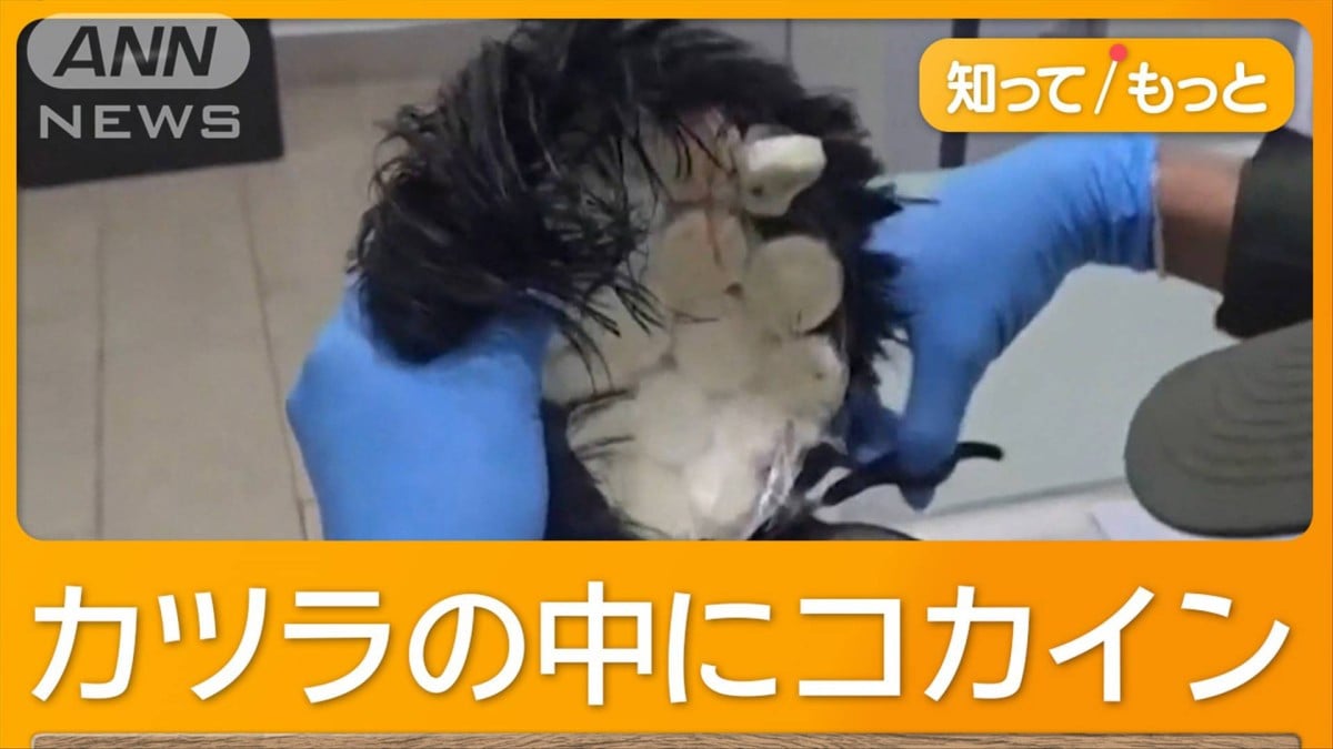 カツラに隠しコカイン密輸の男逮捕　コロンビア