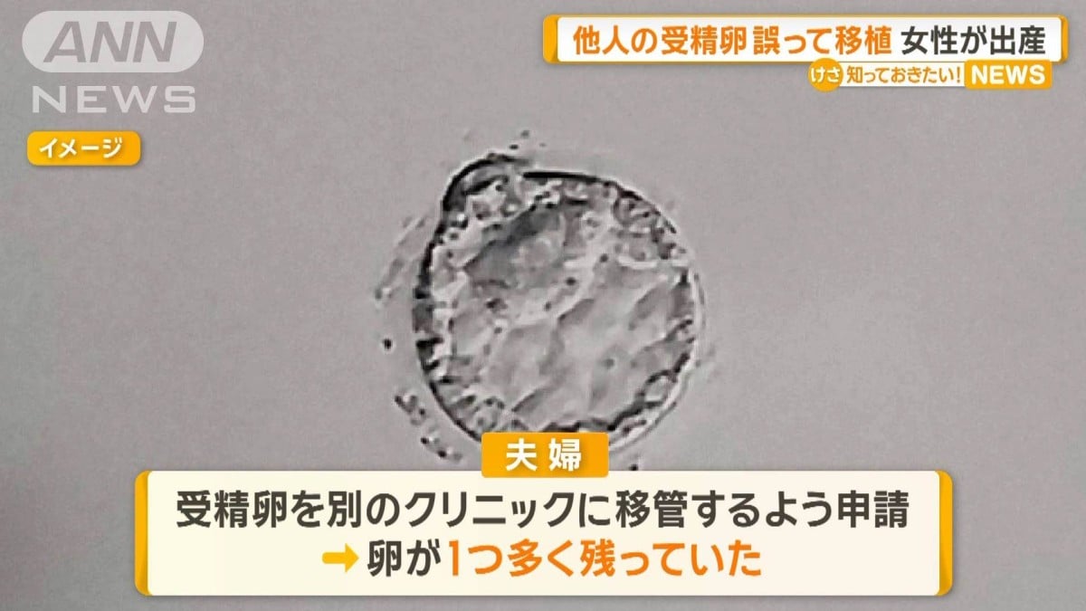 オーストラリアで他の人の受精卵を間違えて移植