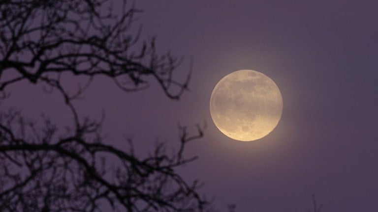 ４月の満月は「マイクロムーン」、いつもより小さく見える