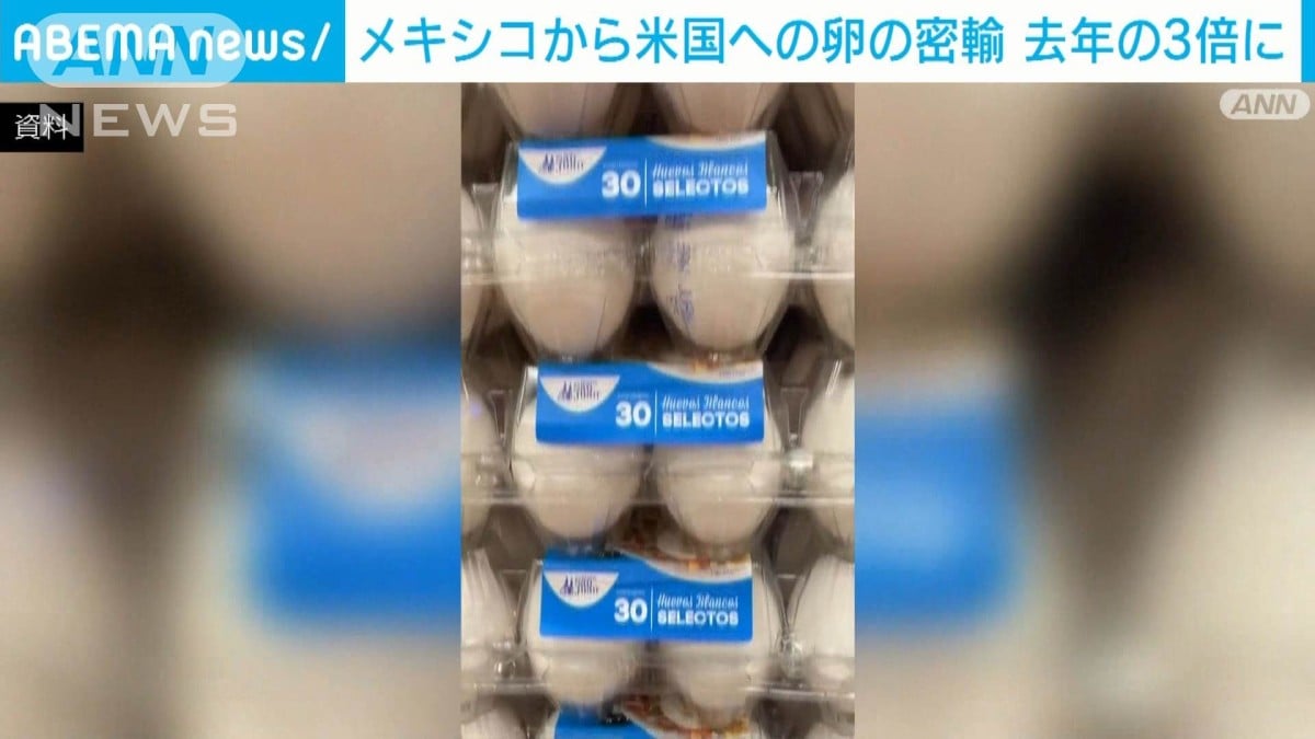 メキシコからアメリカへ卵の密輸がふえています