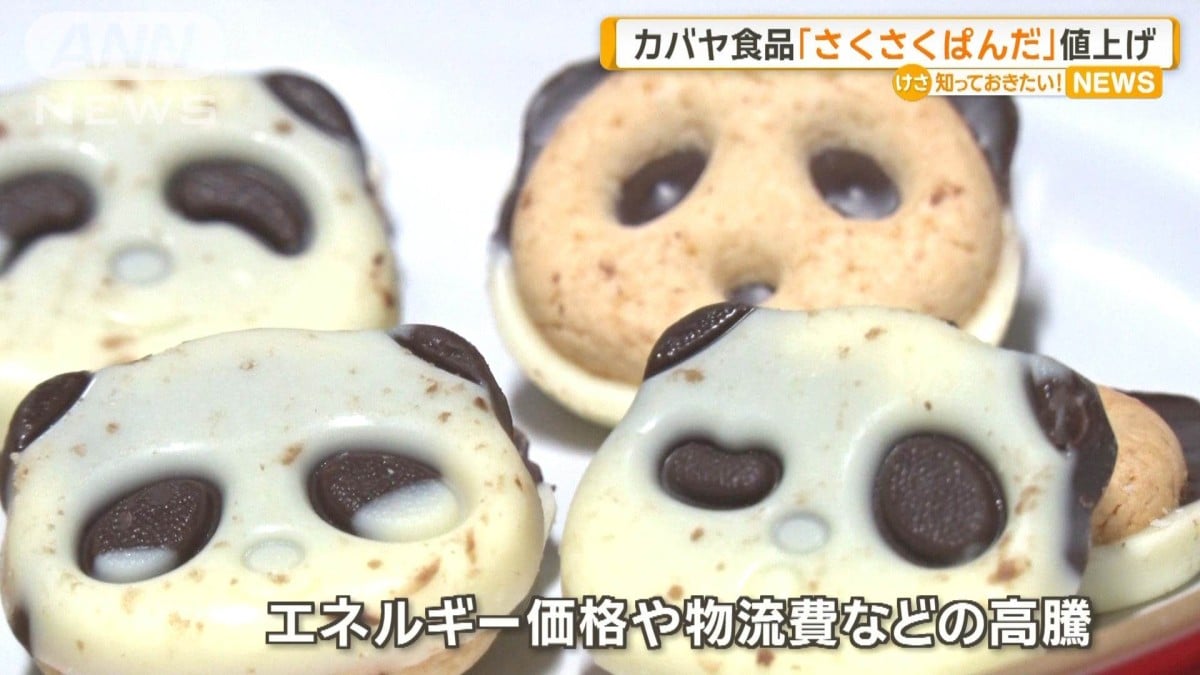 カバヤのお菓子が値上げします