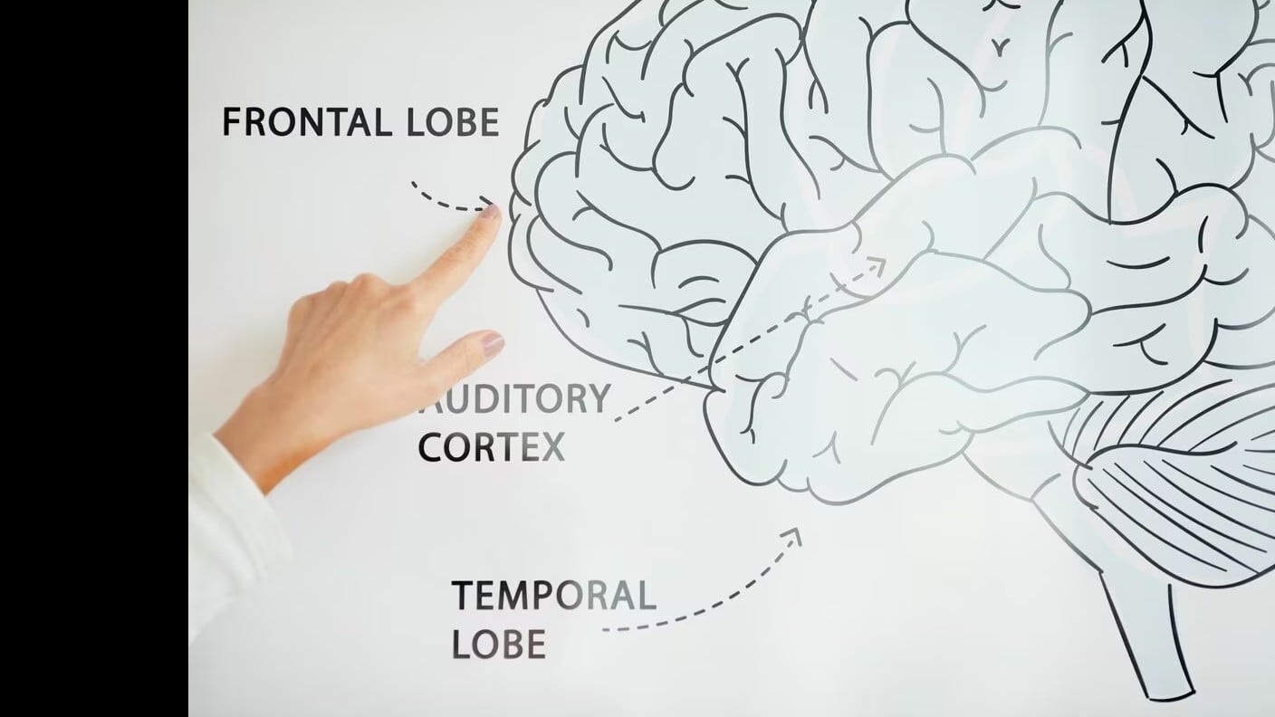 デジタル社会と前頭葉の老化