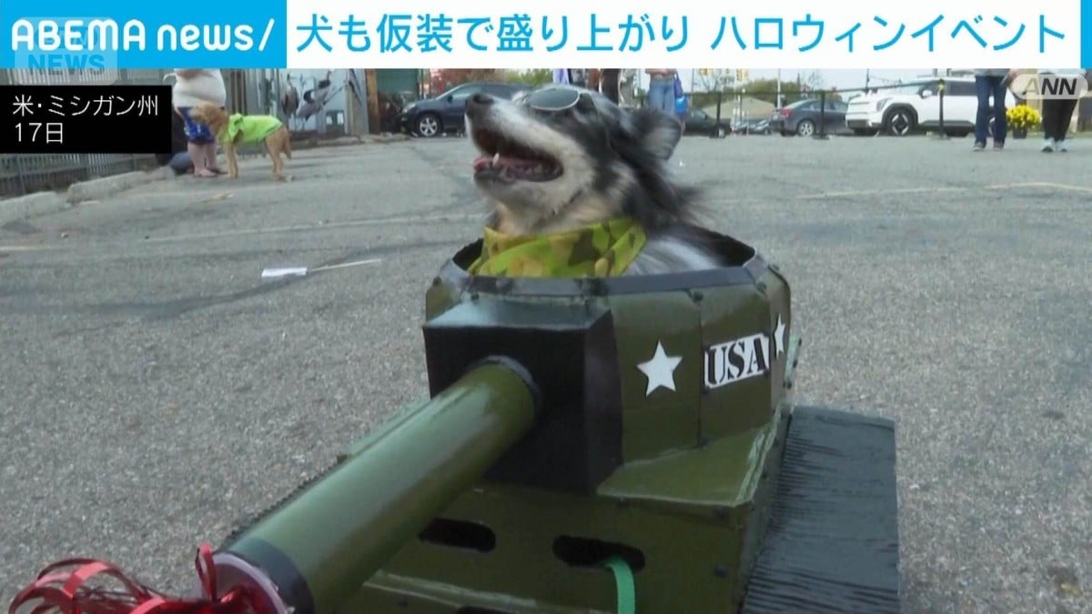 犬のハロウィンイベント