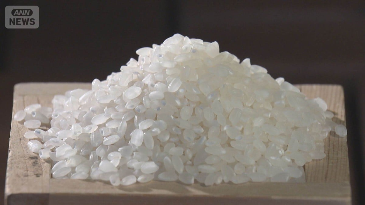 おこめのねだんがさがるかもしれません