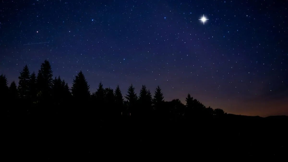 今月、東の空に見える明るい星は何？