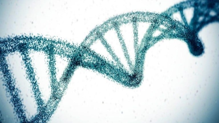 遺伝子編集でコレステロールを下げる新しい治療