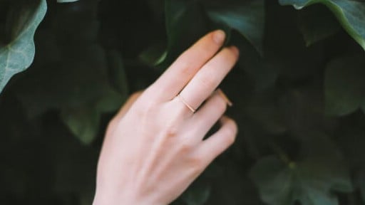 きれいな手のつくりかた