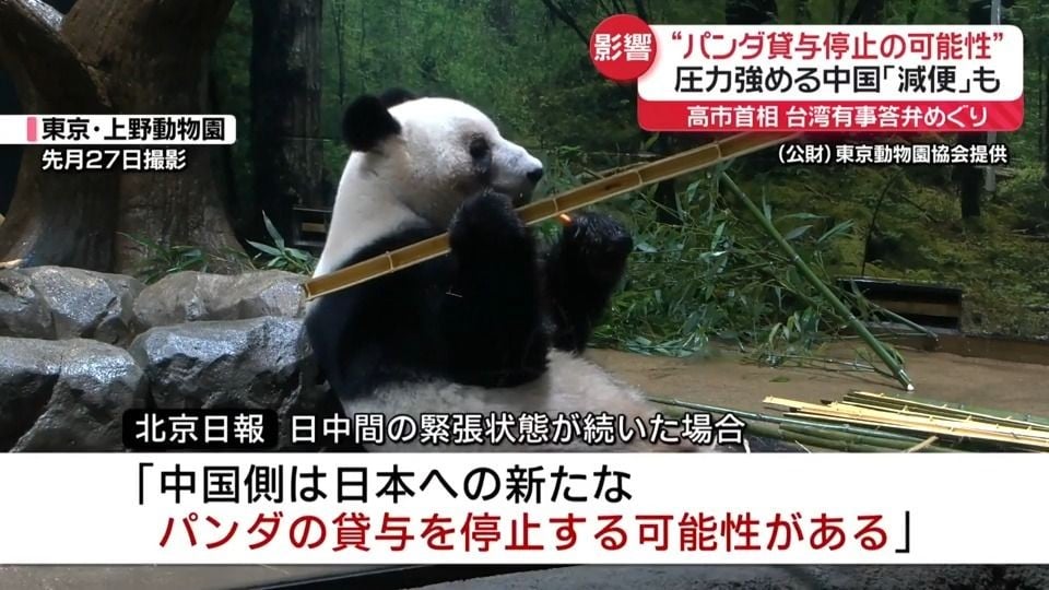 日本からパンダがいなくなるかもしれません
