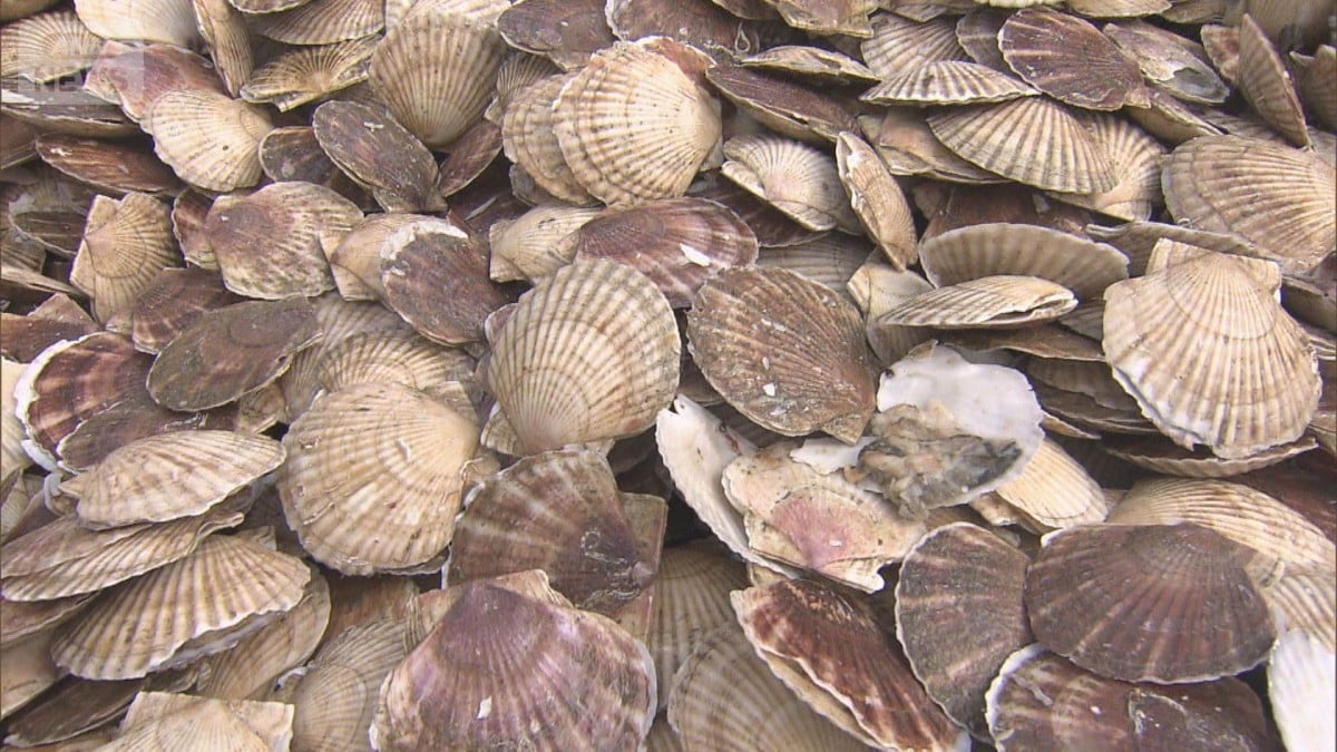 中国の日本産水産物輸入停止、172社に影響