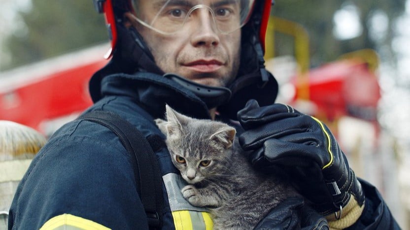 火事から生きのこった猫の奇跡