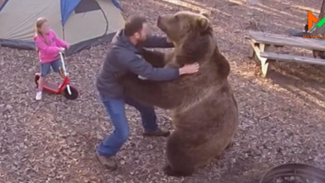 お父さん、クマからむすめをまもる