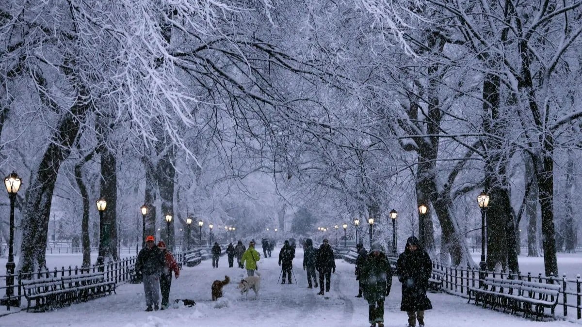 ニューヨークで大雪、たくさんの飛行機が止まる