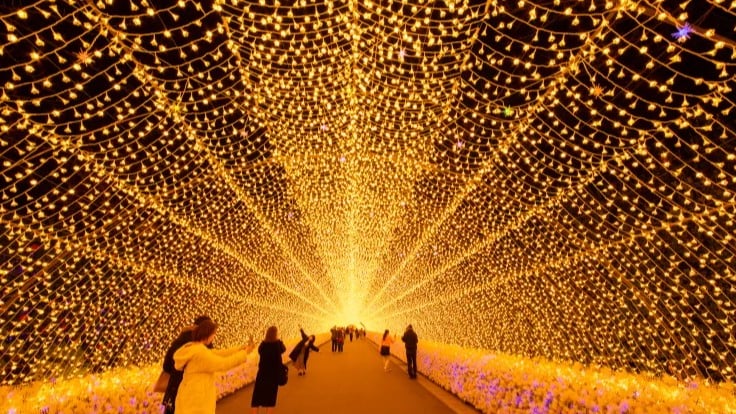 なばなの里の冬イルミネーション2025-2026