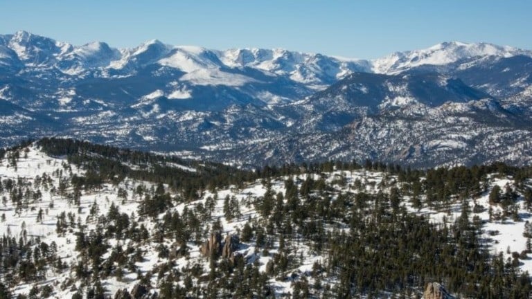 コロラド州でピューマにおそわれた女性がしぼう