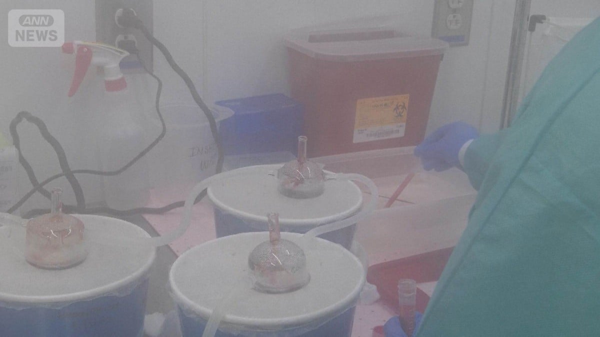 オスの蚊も血を吸うことがある