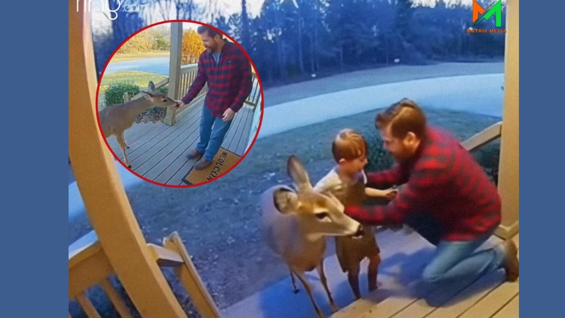 ヴァージニアの鹿と男の子のやさしい話