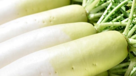 おいしい大根のえらび方