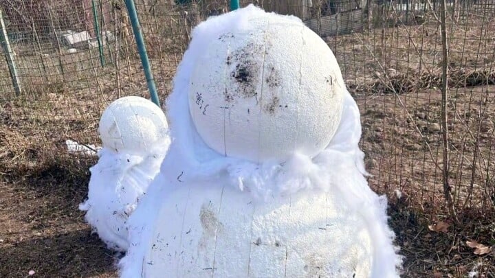 「氷雪スポットの雪は綿！」河南省のテーマ施設が酷評で閉鎖