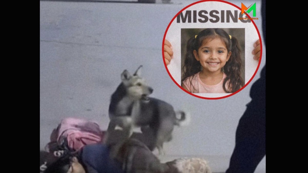 いなくなった女の子と犬