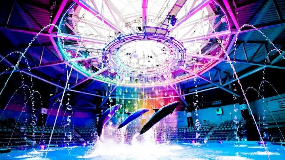 マクセル アクアパーク品川 — 東京で人気の都市型水族館