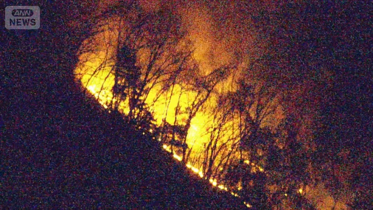 山梨の山で火事　ほとんど消える