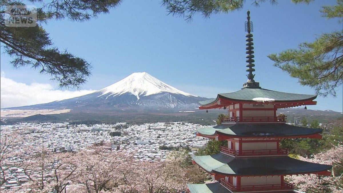 山梨のさくらまつりはありません