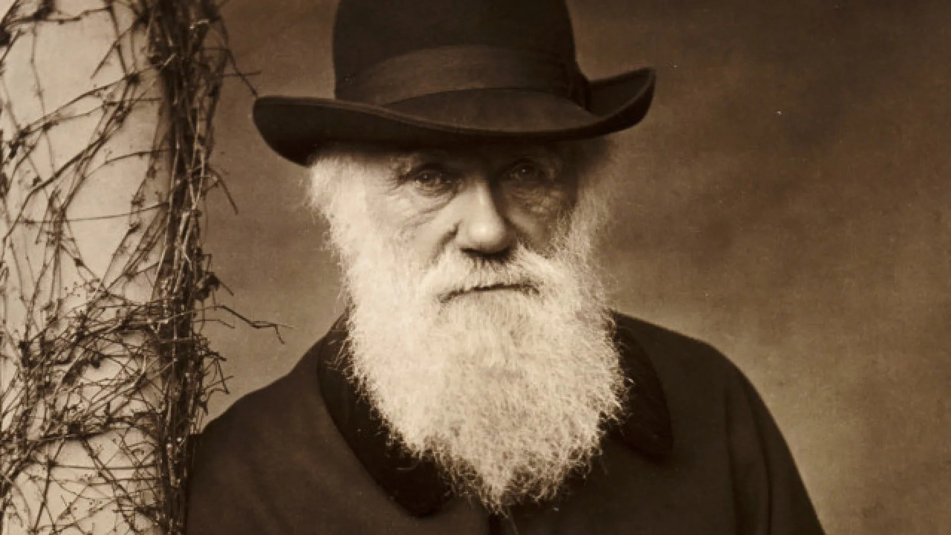 チャールズ・ダーウィンと進化のはなし