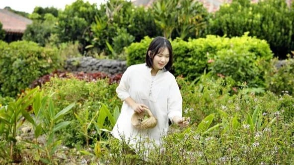 花粉を避ける新しいワーケーションの人気