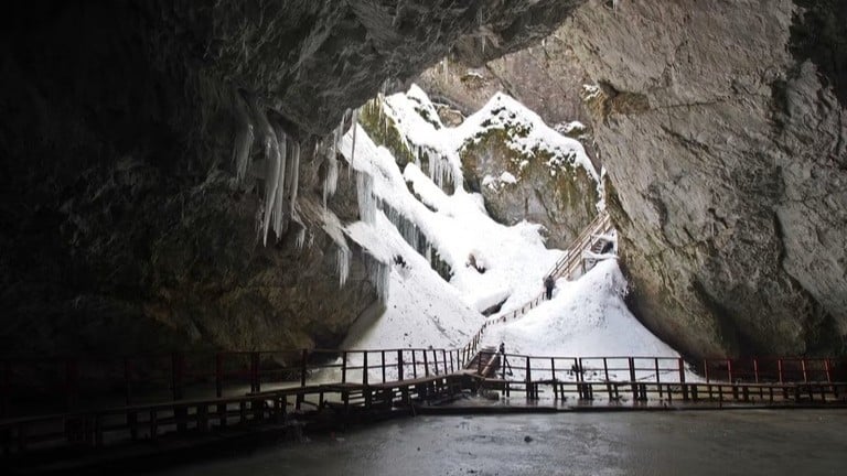 氷の洞くつで見つかった古い細菌は薬に強い