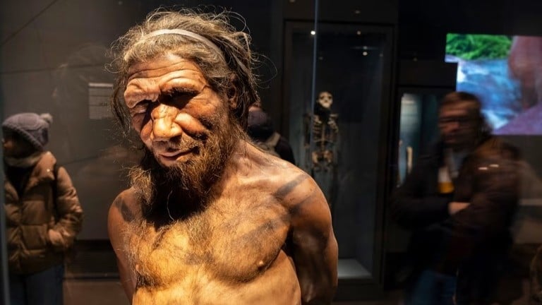ネアンデルタール人の男性と現生人類の女性との交雑が主流だった理由、最新の研究が示す可能性